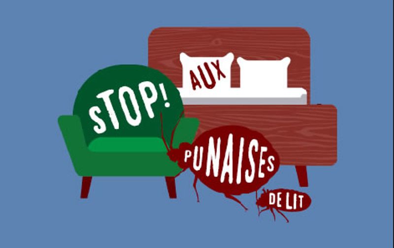 Punaises de lit.jpg